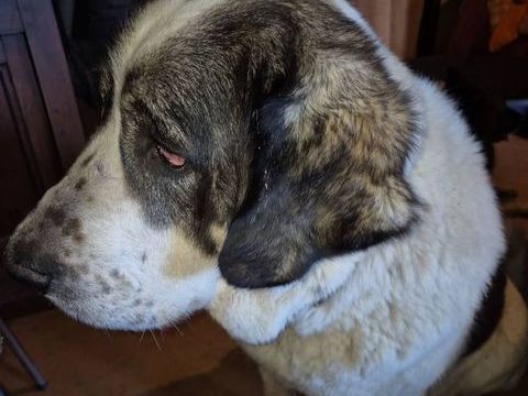 HERA 50 07370 Sarras