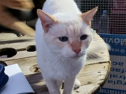 LUMIÈRE 220 27620 Gasny