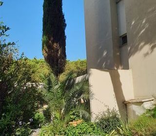  Appartement � vendre 2 pi�ces 30 m�