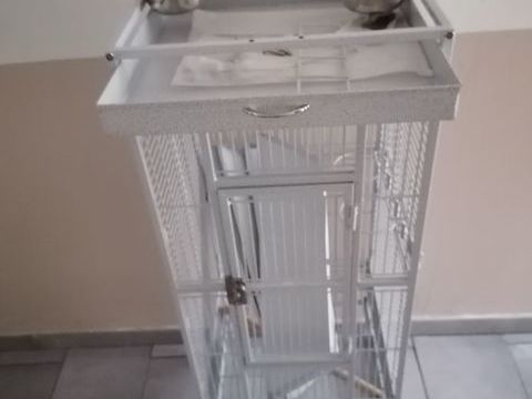 Grande Cage Oiseaux 80 62100 Calais