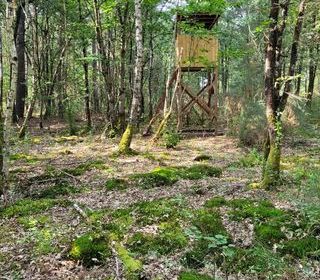  Terrain � vendre 70000 m�