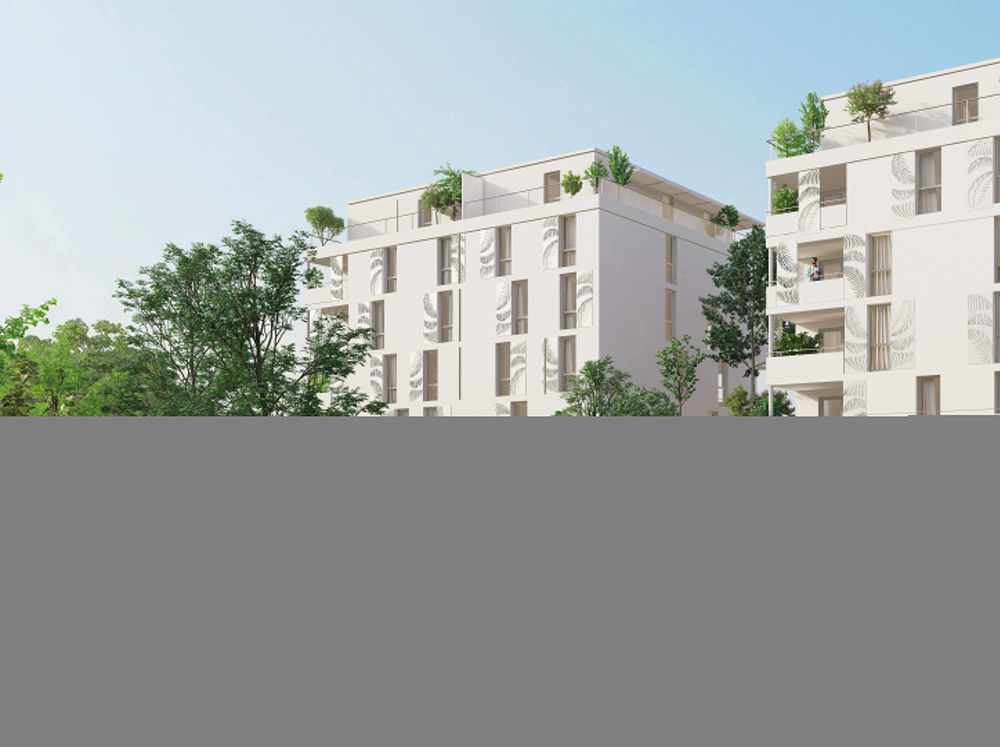   Montpellier (34000)