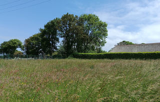  Terrain � vendre 738 m�