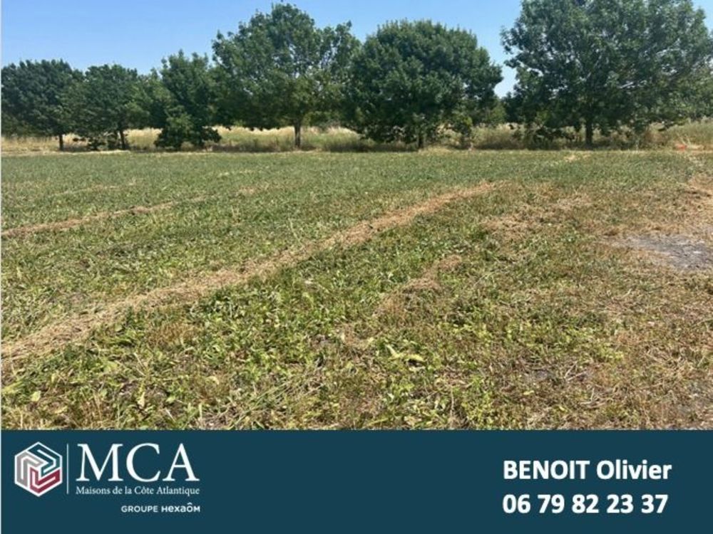   Mornac-sur-Seudre (17113)