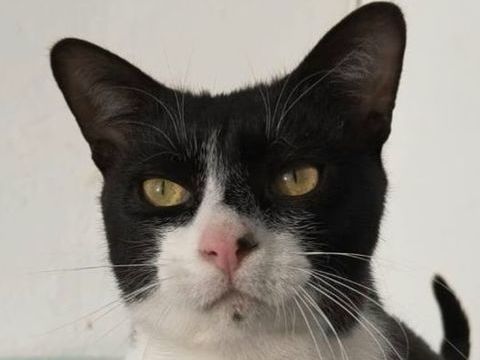 FILON 230 27620 Gasny