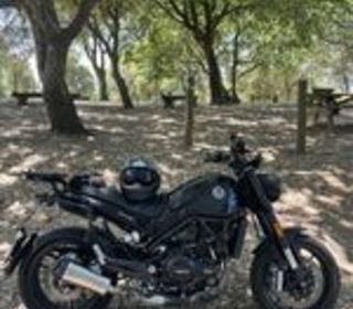BENELLI 2018 occasion 83350 Ramatuelle