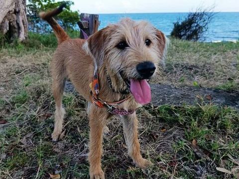 Youpi, b&eacute;b&eacute; joyeux 300 37000 Tours