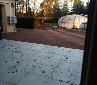  Maison � vendre 7 pi�ces 275 m�