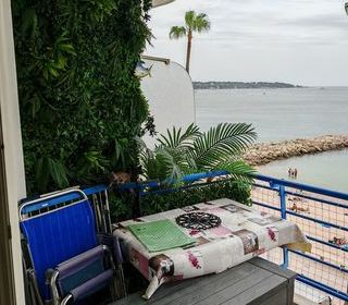  Appartement � louer 1 pi�ce 30 m�