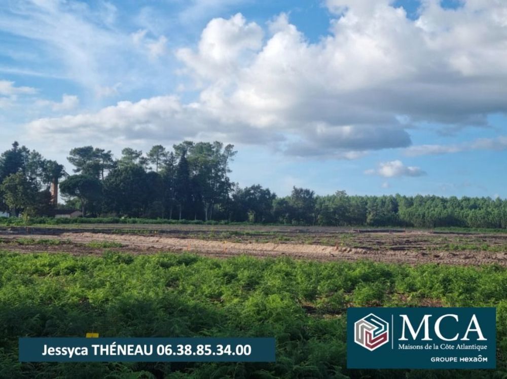 Maisons neuves   Laluque (40465)