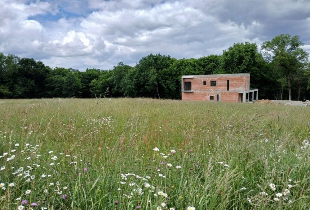 Maisons neuves   Carignan-de-Bordeaux (33360)