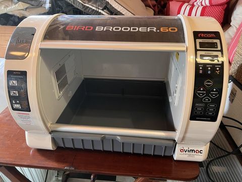 Couveuse, &Eacute;leveuse RCom Bird Brooder 60 - Avimac 490 41600 Souvigny-en-sologne