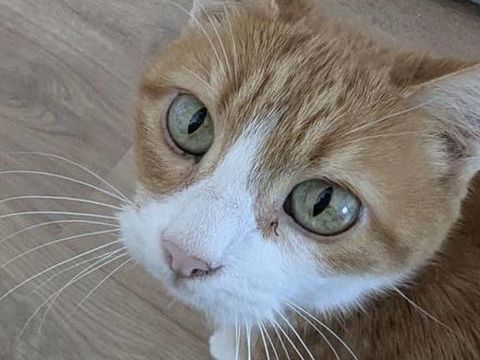 Babou 80 44000 Nantes