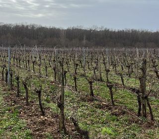  Terrain � vendre 51000 m�