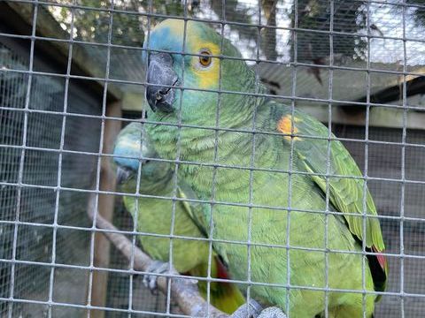 Couple amazone a front bleu 1100 49610 Juign�-sur-loire