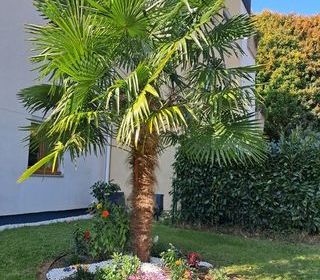  Appartement � vendre 3 pi�ces 90 m�