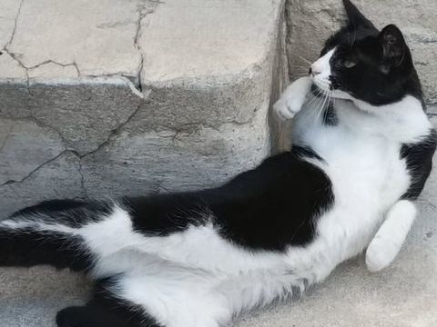 Adorable Pistache &#128154; 150 38470 L'albenc