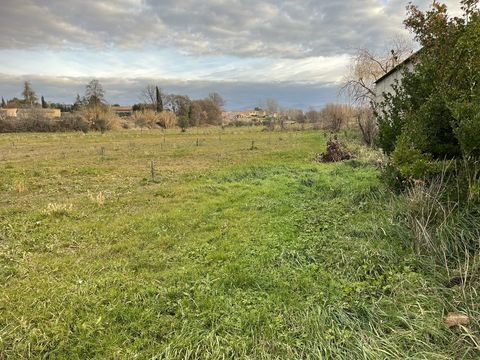 Pensions chat ? et chien ? 45 04310 Peyruis