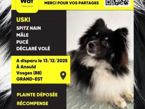 ALERTE DISPARITION A ARNOULD DPT 88 VOSGES SPITZ 0 06400 Cannes
