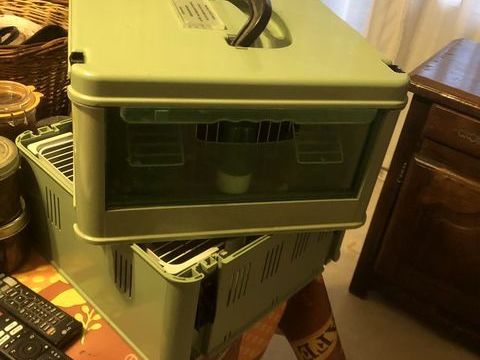 Cageot de transport 60 82000 Montauban