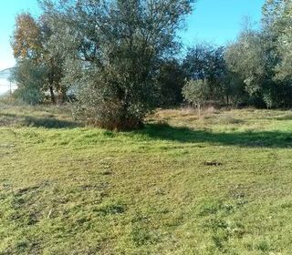  Maison � louer 3 pi�ces 70 m�