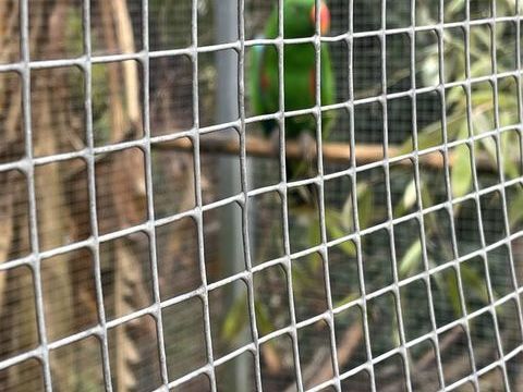 Couple electus 1500 33125 Hostens