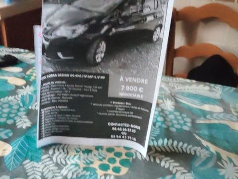 Opel Corsa 1.4 90 ch Design 120 ans 2019 occasion Orsennes 36190