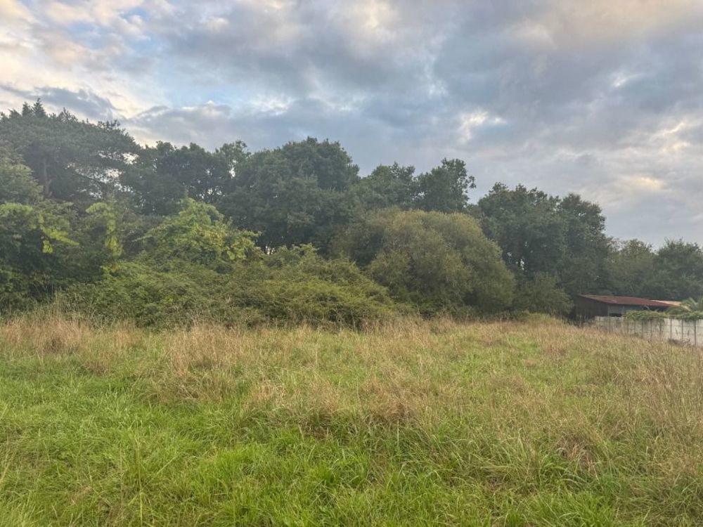   Vendays-Montalivet (33930)