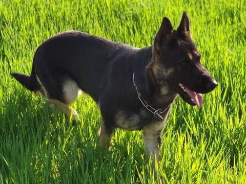 OSIRIS 200 26100 Romans-sur-is�re