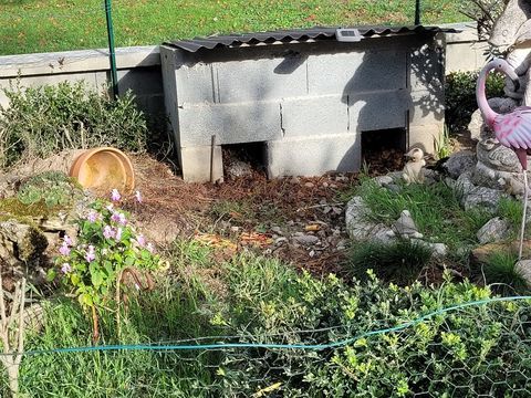 Recherche tortue de terre femelle
1 81340 Cadix