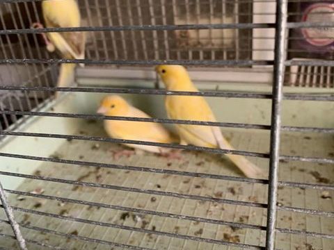 Canaris 20 14400 Bayeux