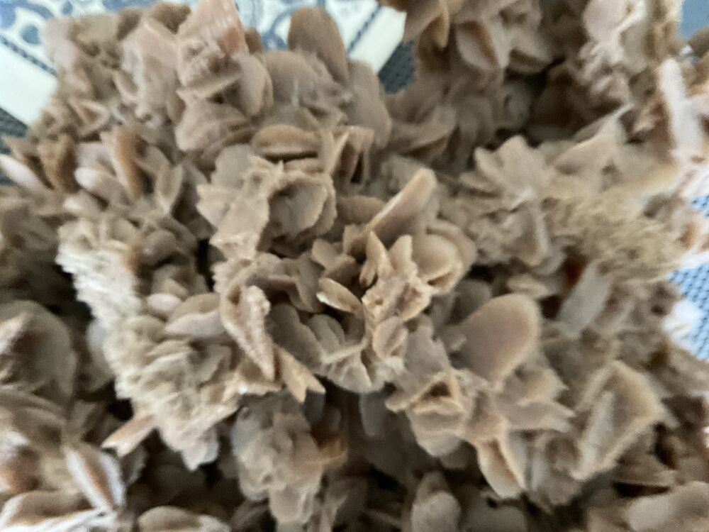 Rose des sables 