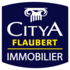 Citya Flaubert - Rouen