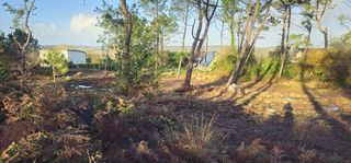  Terrain � vendre 1227 m�