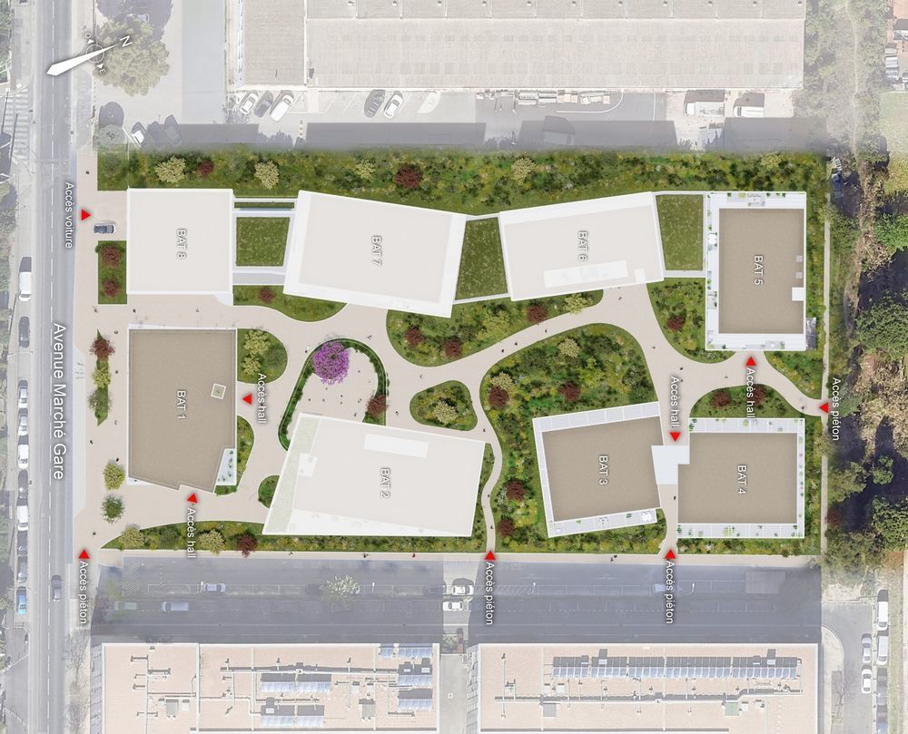 Appartements neufs   Montpellier (34000)