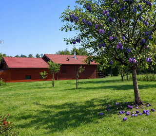  Chalet � vendre 3 pi�ces 21500 m�