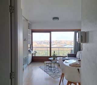  Appartement � vendre 1 pi�ce 42 m�