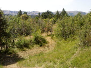  Terrain � vendre 11730 m�