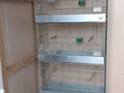 Cages d'&eacute;levage canari 25 14140 Livarot