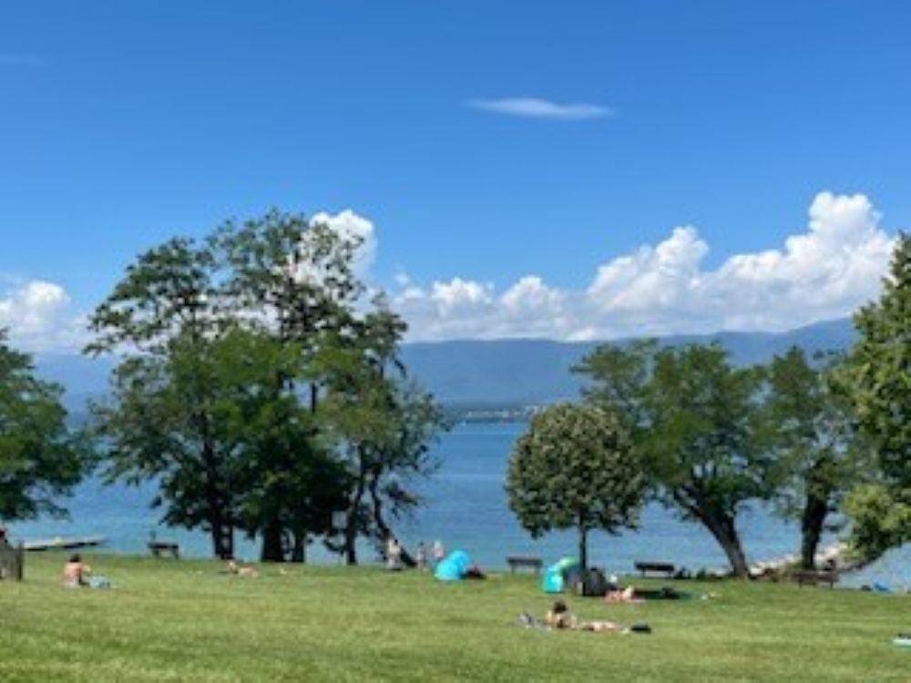 Appartements neufs   Messery (74140)