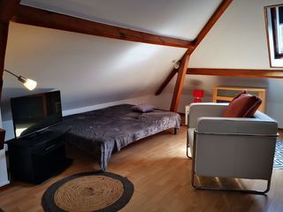  Appartement à louer 1 pièce 19 m²