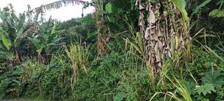  Terrain � vendre 1400 m�