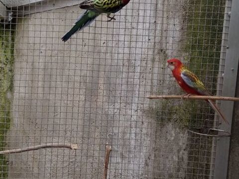 Omnicolore 40 85360 La tranche-sur-mer