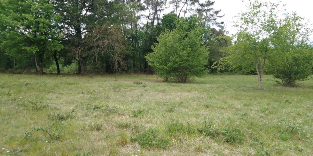 Maisons neuves   Saint-Barth�lemy-de-Bellegarde (24700)