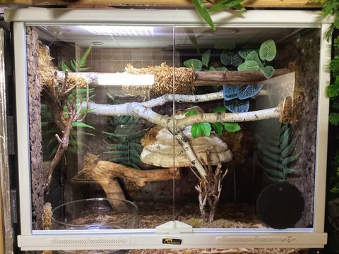 TERRARIUM VIRIDIS 120 41220 Nouan sur loire