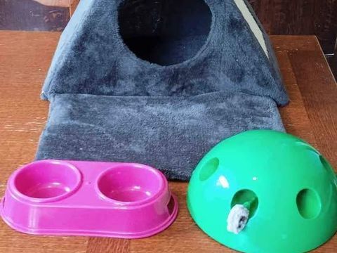 petite maison et accessoires pour chaton 40 59124 Escaudain