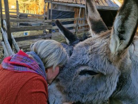 2 gentilles annesses  inseparables 2500 63240 Mont-dore