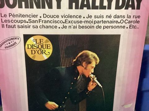 21 45 tours plus 1 33 tours de Hallyday 20 Vimoutiers (61)