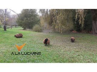  Maison � vendre 4 pi�ces 134 m�