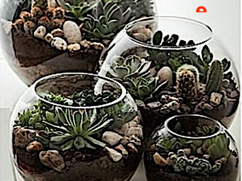 BOCAL  DECO - BOCAL BOULE 20 83400 Hy�res